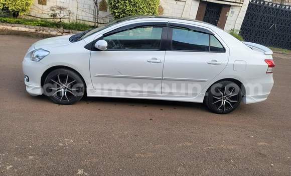 Buy Used Toyota Vios White Car in Yaounde in Central Cameroon Buy Used Toyota Vios White Car in Yaounde in Central Cameroon