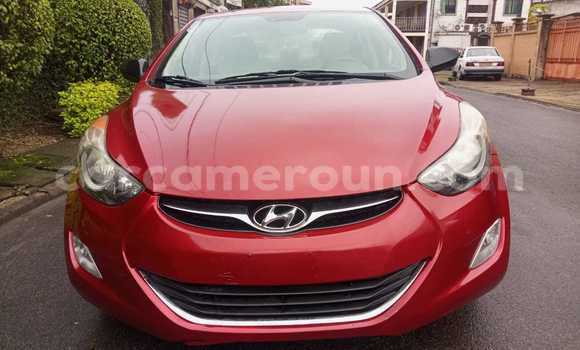 Buy Import Hyundai Elantra Red Car in Douala in Littoral Cameroon