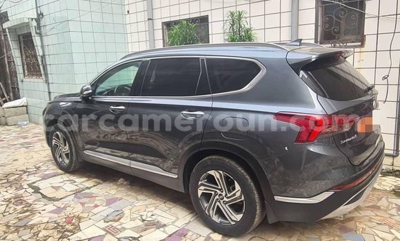 Sayi Na hannu Hyundai Santa Fe Azurfa Mota in Douala a Ƙasar Kamaru Sayi Na hannu Hyundai Santa Fe Azurfa Mota in Douala a Ƙasar Kamaru