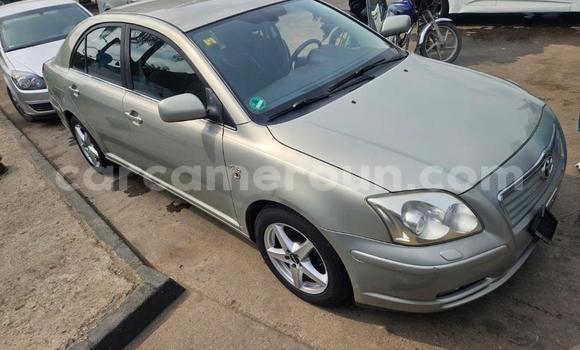 Acheter Import Voiture Toyota Avensis Gris à Douala, Littoral Cameroon