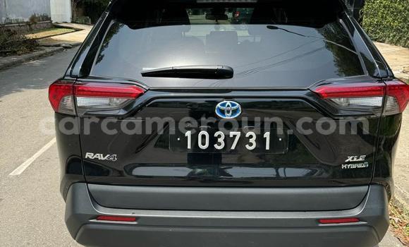 Buy Import Toyota RAV4 Black Car in Douala in Littoral Cameroon Buy Import Toyota RAV4 Black Car in Douala in Littoral Cameroon