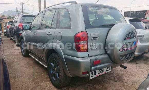 Buy Used Toyota RAV4 Silver Car in Yaounde in Central Cameroon Buy Used Toyota RAV4 Silver Car in Yaounde in Central Cameroon