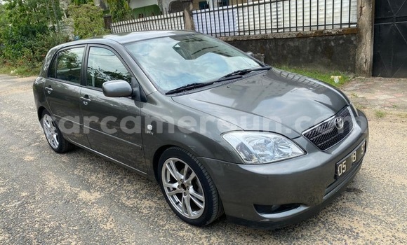 Buy Used Toyota Corolla Silver Car in Douala in Littoral Cameroon