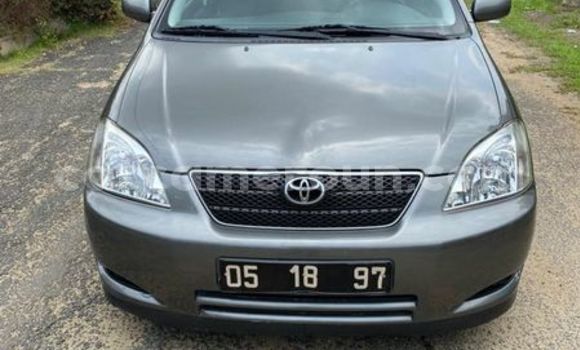 Buy Used Toyota Corolla Silver Car in Douala in Littoral Cameroon Buy Used Toyota Corolla Silver Car in Douala in Littoral Cameroon