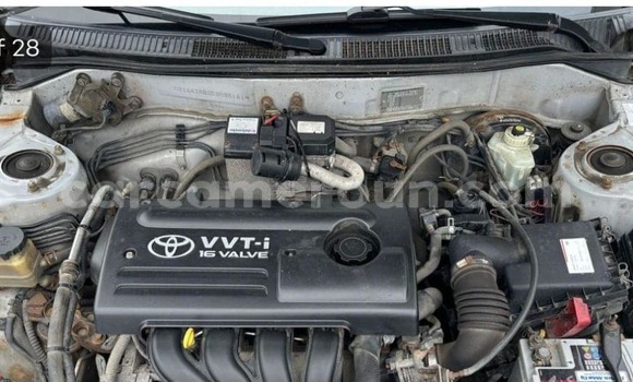 Sayi Na hannu Toyota Corolla Azurfa Mota in Douala a Ƙasar Kamaru Sayi Na hannu Toyota Corolla Azurfa Mota in Douala a Ƙasar Kamaru