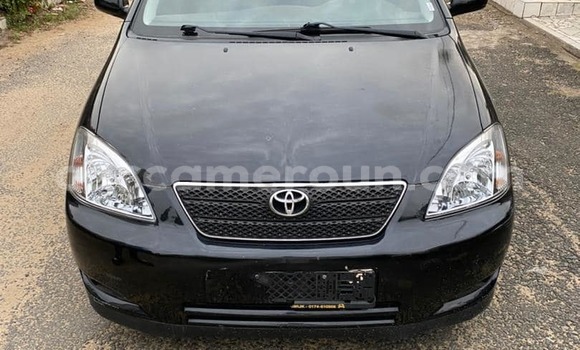 Acheter Occasion Voiture Toyota Corolla Noir à Douala, Littoral Cameroon