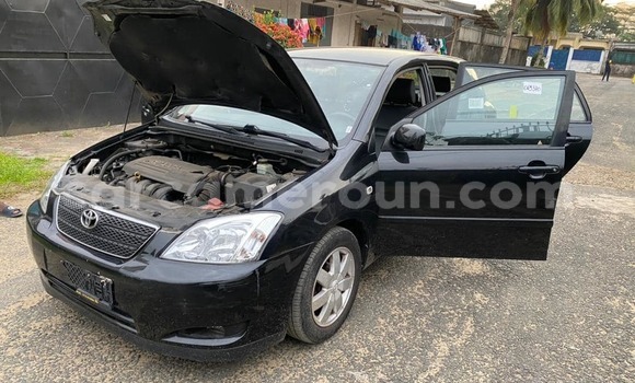 Buy Used Toyota Corolla Black Car in Douala in Littoral Cameroon Buy Used Toyota Corolla Black Car in Douala in Littoral Cameroon