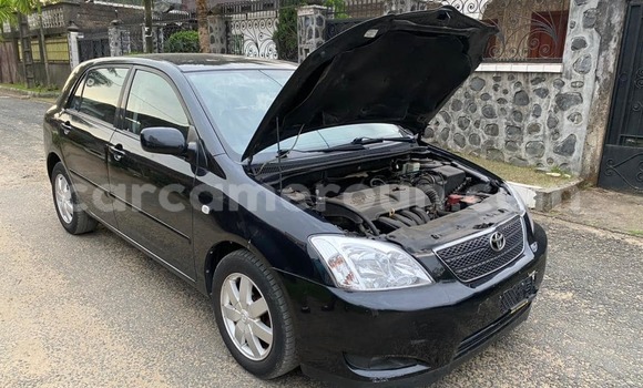 Buy Used Toyota Corolla Black Car in Douala in Littoral Cameroon Buy Used Toyota Corolla Black Car in Douala in Littoral Cameroon