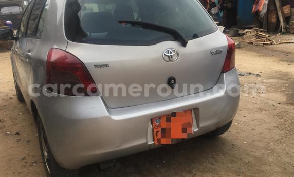 Buy Used Toyota Vitz Silver Car in Douala in Littoral Cameroon Buy Used Toyota Vitz Silver Car in Douala in Littoral Cameroon