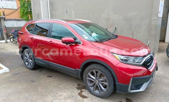 Buy Used Honda CR–V Red Car in Douala in Littoral Cameroon Buy Used Honda CR–V Red Car in Douala in Littoral Cameroon