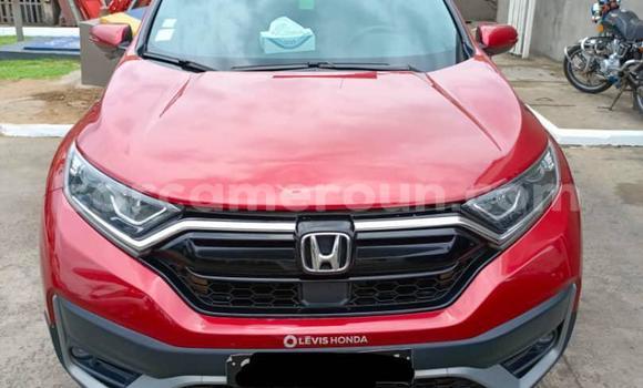 Buy Used Honda CR–V Red Car in Douala in Littoral Cameroon Buy Used Honda CR–V Red Car in Douala in Littoral Cameroon
