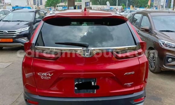 Buy Used Honda CR–V Red Car in Douala in Littoral Cameroon Buy Used Honda CR–V Red Car in Douala in Littoral Cameroon
