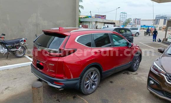 Buy Used Honda CR–V Red Car in Douala in Littoral Cameroon Buy Used Honda CR–V Red Car in Douala in Littoral Cameroon