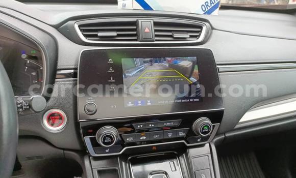 Buy Used Honda CR–V Red Car in Douala in Littoral Cameroon Buy Used Honda CR–V Red Car in Douala in Littoral Cameroon