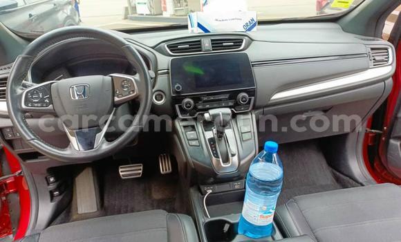 Buy Used Honda CR–V Red Car in Douala in Littoral Cameroon Buy Used Honda CR–V Red Car in Douala in Littoral Cameroon