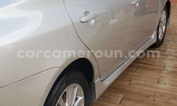 Sayi Na hannu Toyota Corolla Azurfa Mota in Douala a Ƙasar Kamaru Sayi Na hannu Toyota Corolla Azurfa Mota in Douala a Ƙasar Kamaru