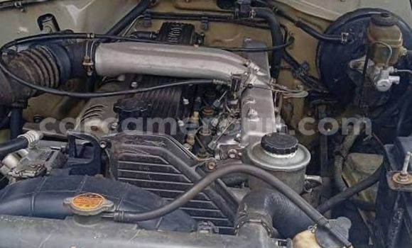 Sayi Na hannu Toyota Land Cruiser Sauran Mota in Bafoussam a West Kamaru Sayi Na hannu Toyota Land Cruiser Sauran Mota in Bafoussam a West Kamaru