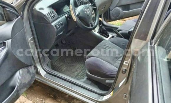Sayi Na hannu Toyota Corolla Sauran Mota in Douala a Ƙasar Kamaru Sayi Na hannu Toyota Corolla Sauran Mota in Douala a Ƙasar Kamaru