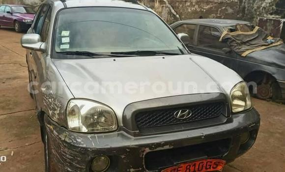 Acheter Occasion Voiture Hyundai Santa Fe Autre à Douala, Littoral Cameroon