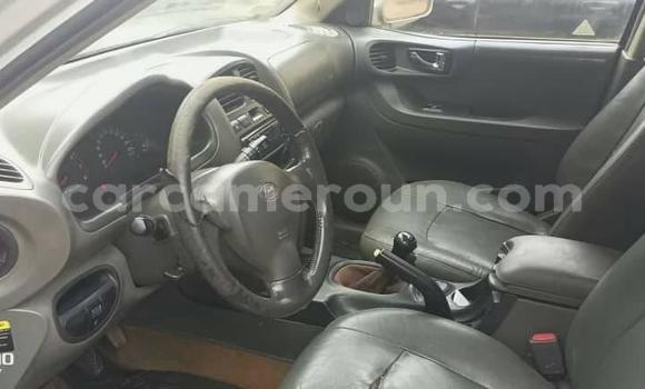 Sayi Na hannu Hyundai Santa Fe Sauran Mota in Douala a Ƙasar Kamaru Sayi Na hannu Hyundai Santa Fe Sauran Mota in Douala a Ƙasar Kamaru