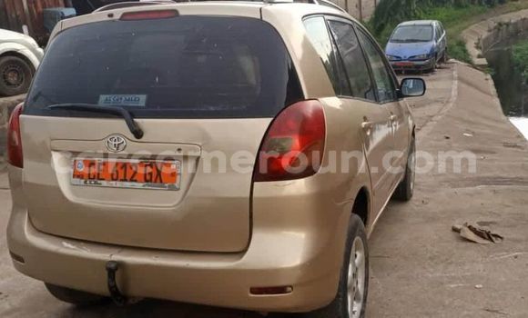 Acheter Occasion Voiture Toyota Corolla Noir à Douala, Littoral Cameroon Acheter Occasion Voiture Toyota Corolla Noir à Douala, Littoral Cameroon
