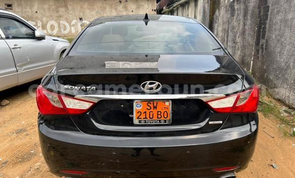 Acheter Occasion Voiture AC Ace Noir à Buea, Southwest Cameroon Acheter Occasion Voiture AC Ace Noir à Buea, Southwest Cameroon