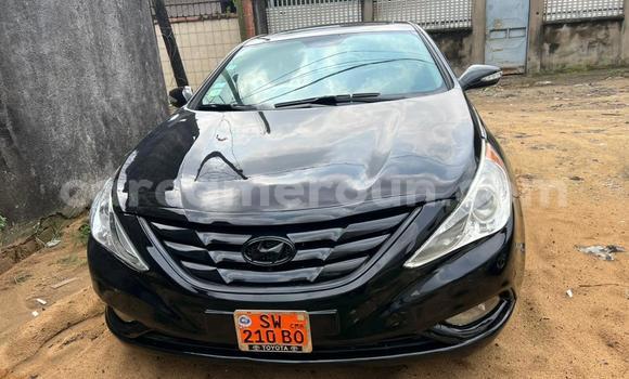 Acheter Occasion Voiture AC Ace Noir à Buea, Southwest Cameroon Acheter Occasion Voiture AC Ace Noir à Buea, Southwest Cameroon