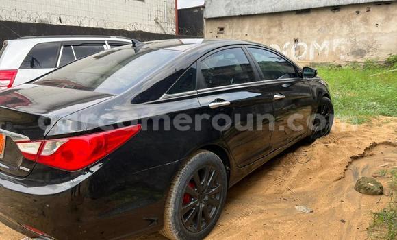 Acheter Occasion Voiture AC Ace Noir à Buea, Southwest Cameroon Acheter Occasion Voiture AC Ace Noir à Buea, Southwest Cameroon