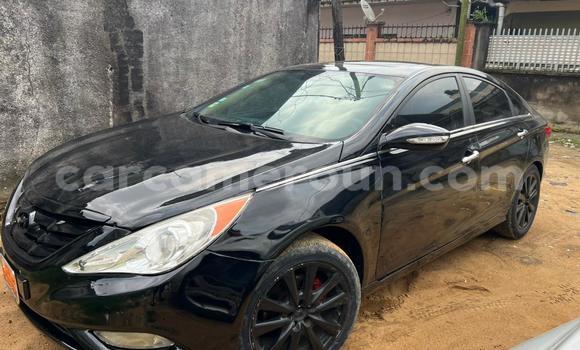 Acheter Occasion Voiture AC Ace Noir à Buea, Southwest Cameroon Acheter Occasion Voiture AC Ace Noir à Buea, Southwest Cameroon