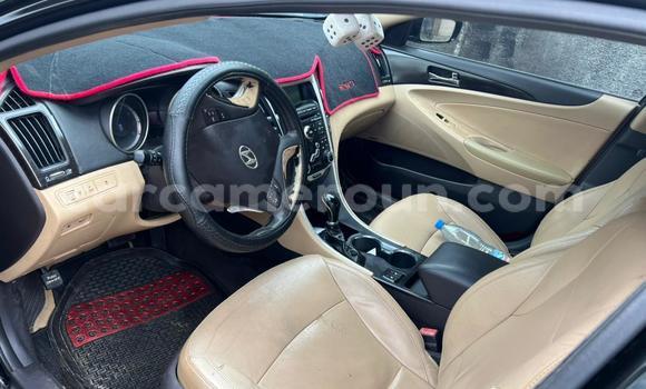 Acheter Occasion Voiture AC Ace Noir à Buea, Southwest Cameroon Acheter Occasion Voiture AC Ace Noir à Buea, Southwest Cameroon