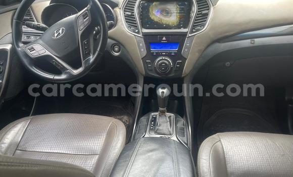 Buy Import Hyundai Santa Fe Brown Car in Douala in Littoral Cameroon Buy Import Hyundai Santa Fe Brown Car in Douala in Littoral Cameroon