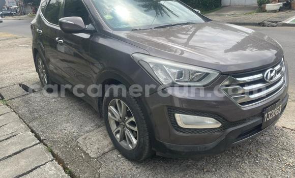 Buy Import Hyundai Santa Fe Brown Car in Douala in Littoral Cameroon Buy Import Hyundai Santa Fe Brown Car in Douala in Littoral Cameroon