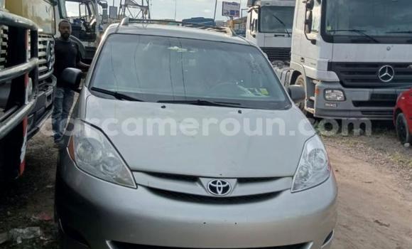 Buy Import Toyota Sienna Silver Car in Douala in Littoral Cameroon