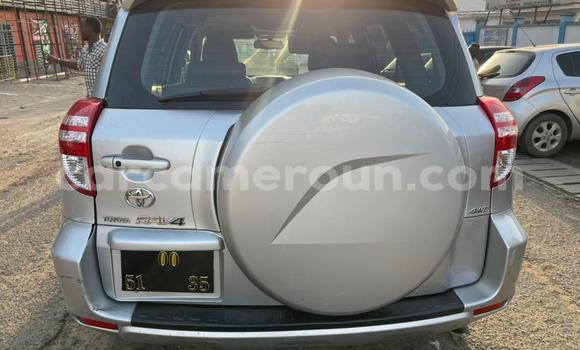Sayi Na hannu Toyota RAV4 Azurfa Mota in Douala a Ƙasar Kamaru Sayi Na hannu Toyota RAV4 Azurfa Mota in Douala a Ƙasar Kamaru