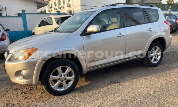 Sayi Na hannu Toyota RAV4 Azurfa Mota in Douala a Ƙasar Kamaru Sayi Na hannu Toyota RAV4 Azurfa Mota in Douala a Ƙasar Kamaru