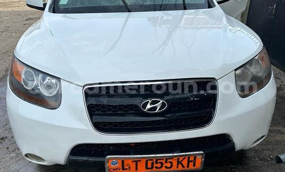 Acheter Occasion Voiture Hyundai Santa Fe Blanc à Douala, Littoral Cameroon