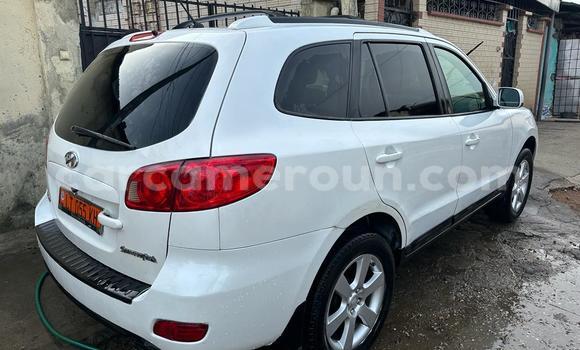 Acheter Occasion Voiture Hyundai Santa Fe Blanc à Douala, Littoral Cameroon Acheter Occasion Voiture Hyundai Santa Fe Blanc à Douala, Littoral Cameroon