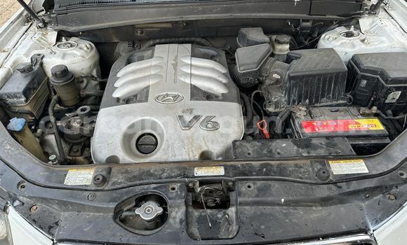 Acheter Occasion Voiture Hyundai Santa Fe Blanc à Douala, Littoral Cameroon Acheter Occasion Voiture Hyundai Santa Fe Blanc à Douala, Littoral Cameroon