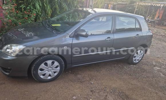 Buy Used Toyota Corolla Silver Car in Douala in Littoral Cameroon