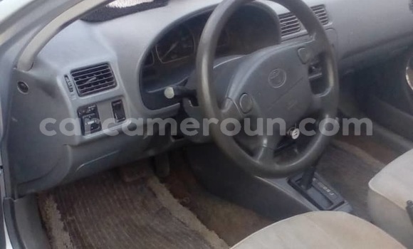 Buy Used Toyota Starlet Silver Car in Douala in Littoral Cameroon Buy Used Toyota Starlet Silver Car in Douala in Littoral Cameroon
