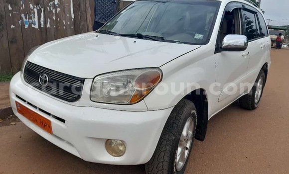 Buy New Toyota RAV4 White Car in Yaounde in Central Cameroon