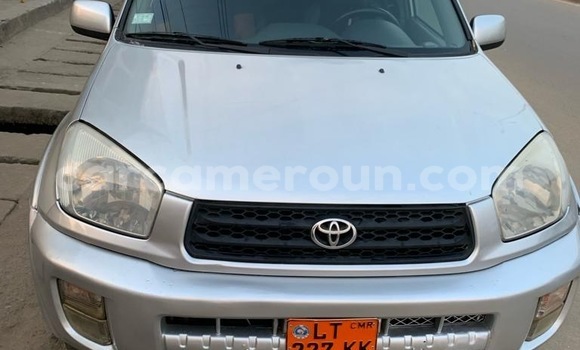 Acheter Occasion Voiture Toyota RAV4 Gris à Douala, Littoral Cameroon