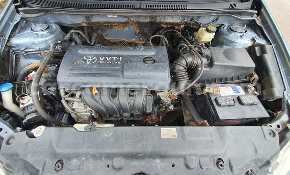 Buy New Toyota Corolla Blue Car in Douala in Littoral Cameroon Buy New Toyota Corolla Blue Car in Douala in Littoral Cameroon