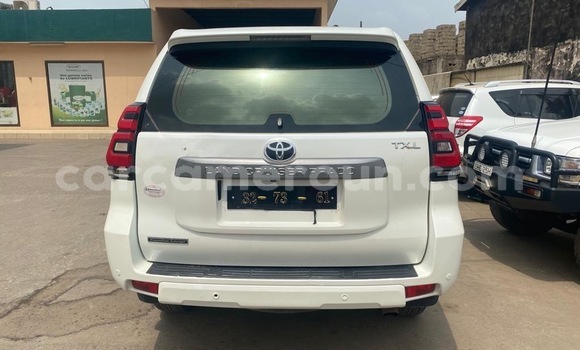 Buy New Toyota Prado White Car in Douala in Littoral Cameroon Buy New Toyota Prado White Car in Douala in Littoral Cameroon
