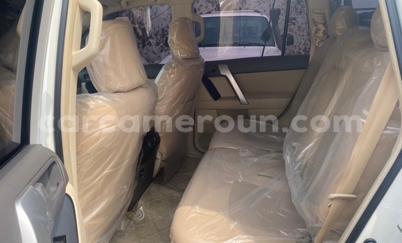 Buy New Toyota Prado White Car in Douala in Littoral Cameroon Buy New Toyota Prado White Car in Douala in Littoral Cameroon