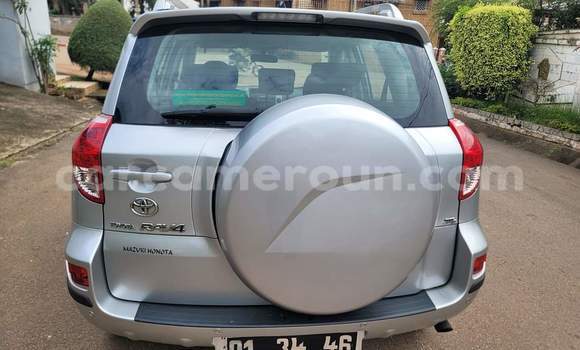 Buy Used Toyota RAV4 Silver Car in Yaounde in Central Cameroon