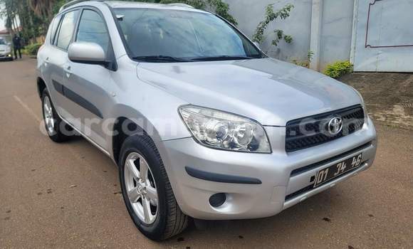 Buy Used Toyota RAV4 Silver Car in Yaounde in Central Cameroon Buy Used Toyota RAV4 Silver Car in Yaounde in Central Cameroon