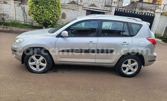 Buy Used Toyota RAV4 Silver Car in Yaounde in Central Cameroon Buy Used Toyota RAV4 Silver Car in Yaounde in Central Cameroon