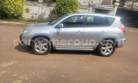 Buy Used Toyota RAV4 Silver Car in Yaounde in Central Cameroon Buy Used Toyota RAV4 Silver Car in Yaounde in Central Cameroon
