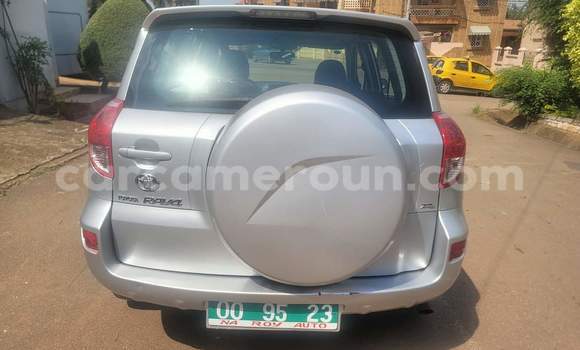 Buy Used Toyota RAV4 Silver Car in Yaounde in Central Cameroon Buy Used Toyota RAV4 Silver Car in Yaounde in Central Cameroon